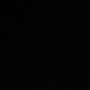 Meet your Posher, Penelope